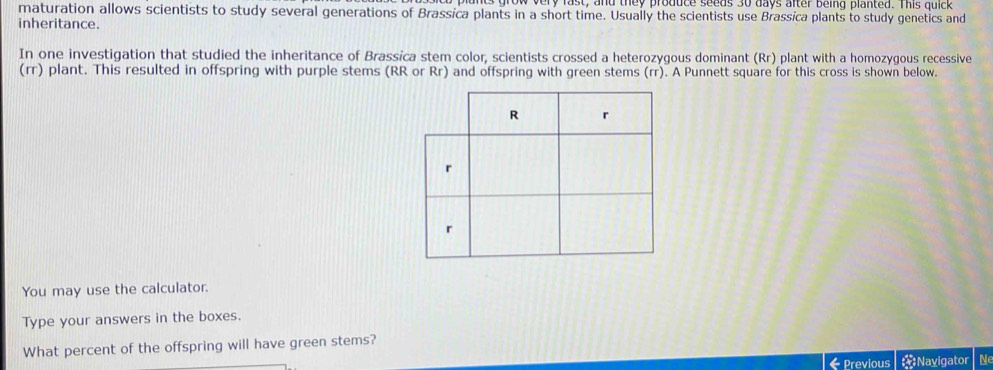 ow ver fas t , and they produce seeds so days alter being planted. This q u 
maturation allows scientists to study several generations of Brassica plants in a short time. Usually the scientists use Brassica plants to study genetics and 
inheritance. 
In one investigation that studied the inheritance of Brassica stem color, scientists crossed a heterozygous dominant (Rr) plant with a homozygous recessive 
(rr) plant. This resulted in offspring with purple stems (RR or Rr) and offspring with green stems (rr). A Punnett square for this cross is shown below. 
You may use the calculator. 
Type your answers in the boxes. 
What percent of the offspring will have green stems? 
Previous * Navigator Ne