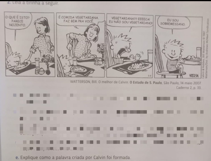 Lela a tirinha a seguir. 
TERSON, Bill. O melhor de Calvin. O Estado de S. Paulo, São Paulo, 14 maio 2007. 
Caderno 2, p. 33. 
e. Explique como a palavra criada por Calvin foi formada.