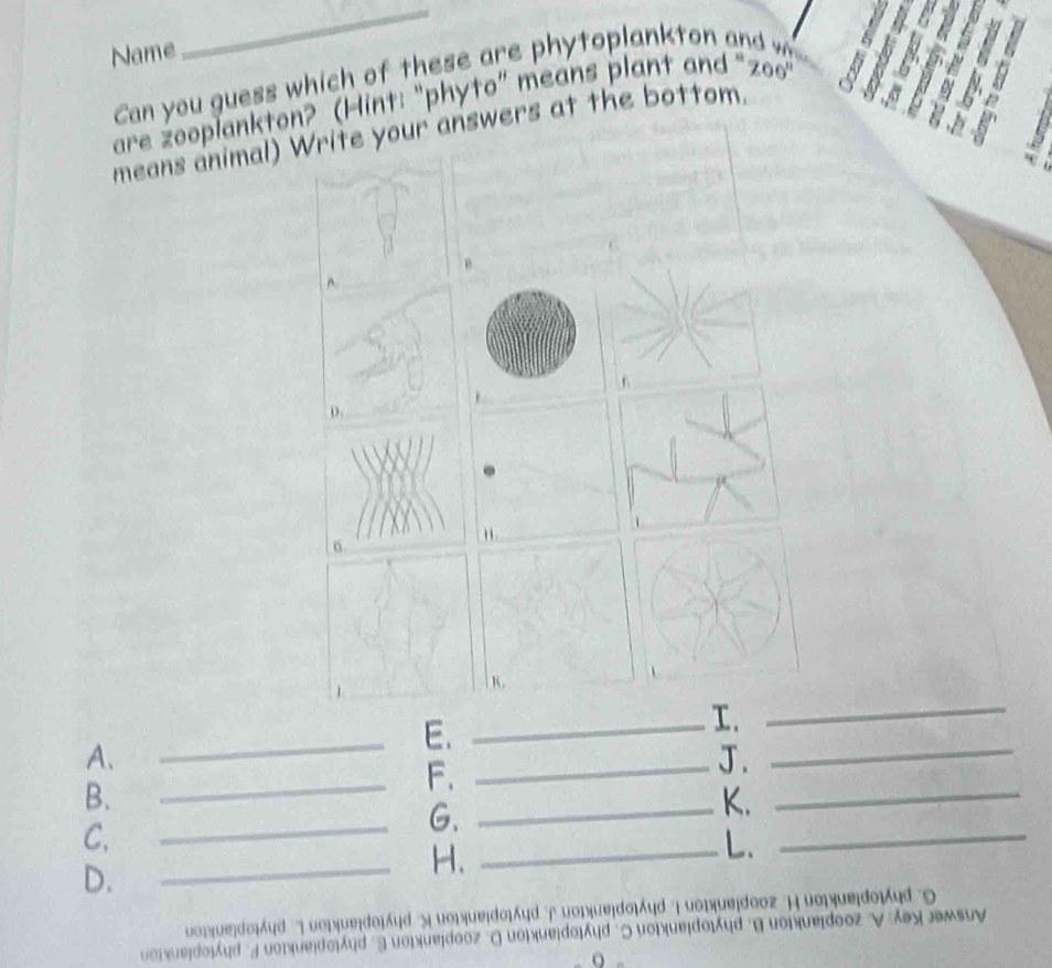 Name 
_ 
Can you guess which of these are phytoplankton and w 
are zooplankton? (Hint: “phyto” means plant and “zoo 
means animal) Write your answers at the bottom. 
^ 
0, 
6. 
K. 
A. 
_E._ 
. 
_ 
_ 
_F. 
_J. 
_ 
B. 
_ 
_G. 
_K. 
C. 
D. 
_H. 
_L. 
uoi(ue)do|Ayd | uoiuedo|Ayd uo)|ueido|yd φ uo1(uejdo|yd uo)ue|dooz || uo|ηue|do|Ayd D 
uonuejdo| Áyd j uonuejdo|Áyd 3 uonuejdooz σuo)ue|do|yd 5 uoiue|do|Ayd g uo|ue|dooz v Áοyəmsuy