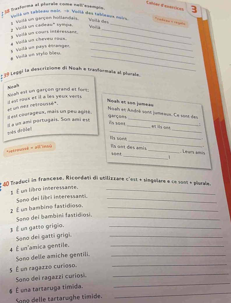 Cahier d'exercices 3
$ 38 Trasforma al plurale come nell'esempio. 
_ 
Voilà un tableau noir. → Voilà des tableaux noirs. cadeau = regalo 
1 Voilà un garçon hollandais. Voilà des 
2 Voilà un cadeau* sympa. Voilà 
3 Voilà un cours intéressant._ 
4 Voilà un cheveu roux._ 
_ 
5 Voilà un pays étranger._ 
6 Voilà un stylo bleu._ 
* 39 Leggi la descrizione di Noah e trasformala al plurale. 
Noah 
Noah est un garçon grand et fort; 
il est roux et il a les yeux verts 
et un nez retroussé*. 
Noah et son jumeau 
_ 
Noah et André sont jumeaux. Ce sont des 
Il est courageux, mais un peu agité. 
garçons 
Il a un ami portugais. Son ami est 
; 
_ 
_ 
ils sont _et ils ont 
très drôle! 
. 
Ils sont _. 
_ 
*retroussé = all’insù 
Ils ont des amis _. Leurs amis 
sont 
1 
* 40 Traduci in francese. Ricordati di utilizzare c'est + singolare e ce sont + plurale. 
1 È un libro interessante._ 
Sono dei libri interessanti._ 
2 È un bambino fastidioso._ 
Sono dei bambini fastidiosi._ 
3 È un gatto grigio._ 
Sono dei gatti grigi._ 
4 È un'amica gentile._ 
Sono delle amiche gentili._ 
5 È un ragazzo curioso._ 
Sono dei ragazzi curiosi. 
_ 
_ 
6 È una tartaruga timida. 
_ 
Sono delle tartarughe timide.