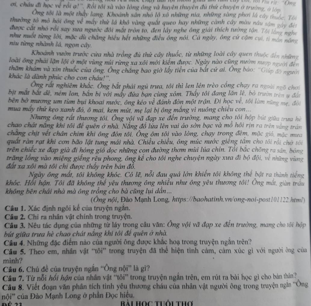 tay toi lới riu ri: 'Ông
ơi, châu đi học về rồi ạ!''. Rồi tôi sà vào lòng ông và huyên thuyên đủ thứ chuyện ở trường, ở lớp.
Ông tối là một thầy lang. Khoảnh sản nhỏ lộ xố những nia, những sàng phơi lá cây thuốc, Tôi
thường tò mò hội ông về máy thử lá khô vàng quắt queo hay những cành cây màu nâu sâm gây đét
được cắt nhỏ rồi say sưa ngườc đôi mắt tròn to, đen lấy nghe ông giải thích tường tận. Tôi làng nghe
như nuốt từng lời, mặc dù chẳng hiểu hết những điều ông nói. Cá ngày, ông cứ cặm cụi, ti mán náng
niu từng nhành lá, ngọn cây.
Khoảnh vườn trước cửa nhà trồng đủ thứ cây thuốc, từ những loài cây quen thuộc đến những
loài ông phải lặn lội ở một vùng núi rừng xa xôi mới kiểm được. Ngày nào cũng nườm nượp người đến
thăm khám và xin thuốc của ông. Ông chăng bao giờ lấy tiền của bắt cử ai. Ông báo: ''Giúp đỡ người
khác là dành phúc cho con cháu!''.
Ông rắt nghiêm khắc. Ông bắt phải ngũ trưa, tôi thì len lén trèo cồng chạy ra ngoài ngõ chơi
bịt mắt bắt đê, ném lon, bắn bi với máy đứa bạn cùng xóm. Thấy tôi đang lăn lệ, bò trườn trên ụ đát
bên bờ mương um tùm bụi khoai nước, ông kéo về đánh đòn một trận. Đi học về, tôi làm nững mẹ, đôi
mua máy thứ kẹo xanh đỏ, ô mai, kem mút, mẹ lại bị ông mắng vì nuông chiều con...
Nhưng ông rất thương tôi. Ông vội vã đạp xe đến trường, mang cho tôi hộp bút giữa trưa hè
chạo chát nắng khi tôi để quên ở nhà. Nắng đồ lửa lên vai áo sờn bạc và mồ hồi rịn ra trên vắng trán
chăng chịt vết chân chim khi ông đón tôi. Ông ôm tôi vào lòng, chạy trong đêm, mặc gió, mặc mưa
quất ràn rạt khi cơn bão lật tung mái nhà. Chiều chiều, ông múc nước giếng tắm cho tôi rồi chở tôi
trên chiếc xe đạp già đi hóng gió dọc những cọn đường thơm mùi lúa chín. Tổi bắc chõng ra sân, bóng
trăng lồng vào miệng giếng rệu phong, ông kể cho tôi nghe chuyện ngày xưa đi bộ đội, về những vùng
đất xa xôi mà tôi chi được thấy trên bản đồ.
Ngày ông mất, tôi không khóc. Có lẽ, nỗi đau quá lớn khiến tôi không thể bật ra thành tiếng
khóc. Hối hận. Tôi đã không thể yêu thương ông nhiều như ông yêu thương tôi! Ông mất, giàn trầu
không bên chái nhà mà ông trồng cho bà cũng lụi dần...
(Ông nội, Đào Mạnh Long, https://baohatinh.vn/ong-noi-post101122.html)
Câu 1. Xác định ngôi kể của truyện ngắn.
Câu 2. Chi ra nhân vật chính trong truyện.
Câu 3. Nêu tác dụng của những từ láy trong câu văn: Ông vội vã đạp xe đến trường, mang cho tôi hộp
bút giữa trưa hè chao chát nắng khi tôi để quên ở nhà.
Câu 4. Những đặc điểm nào của người ông được khắc hoạ trong truyện ngắn trên?
Câu 5. Theo em, nhân vật “tôi” trong truyện đã thể hiện tình cảm, cảm xúc gì với người ông của
mình?
Câu 6. Chủ đề của truyện ngắn “Ông nội” là gì?
Câu 7. Từ nỗi hối hận của nhân vật “tôi” trong truyện ngắn trên, em rút ra bài học gì cho bản thân?
Câu 8. Viết đoạn văn phân tích tình yêu thương cháu của nhân vật người ông trong truyện ngắn “Ông
nội' của Đào Mạnh Long ở phần Đọc hiều.
bài Học tuổi thơ