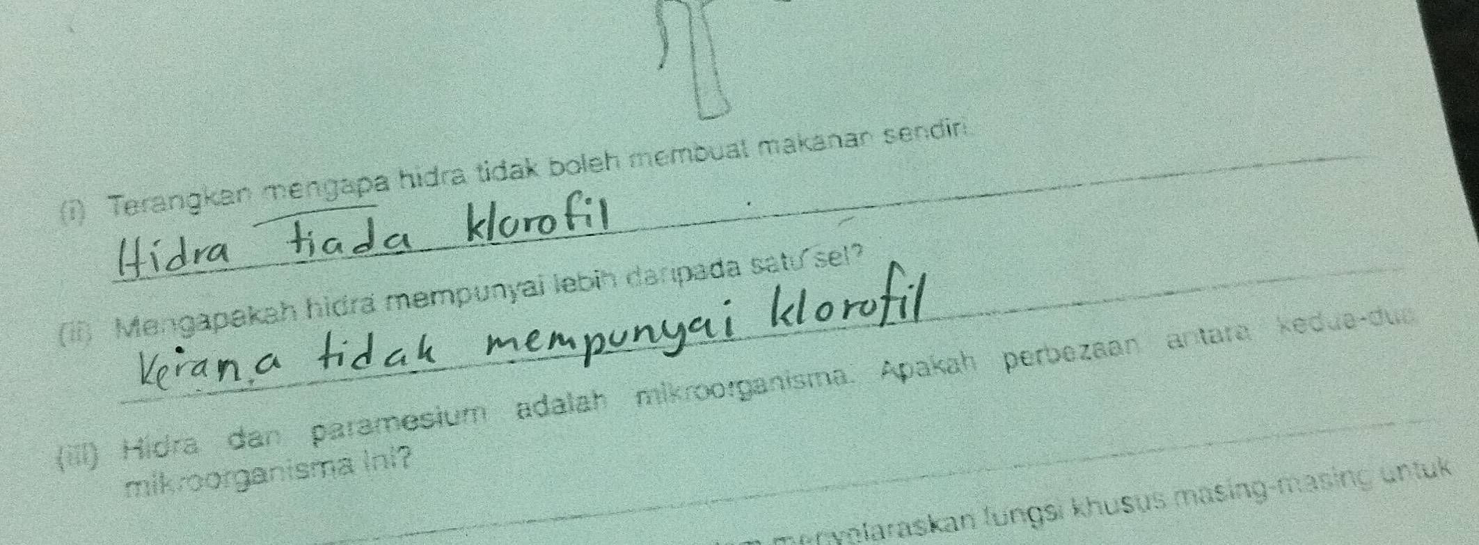 Terangkan mengapa hidra tidak boleh membual makanan sendiri. 
(ii) Mengapakah hidra mempunyai lebih darpada satu sel? 
(ill) Hidra dan paramesium adalah mikroorganisma. Apakah perbezaan antara kedua-dua 
mikroorganisma ini? 
menyalaraskan lungsi khusus masing-masing untuk