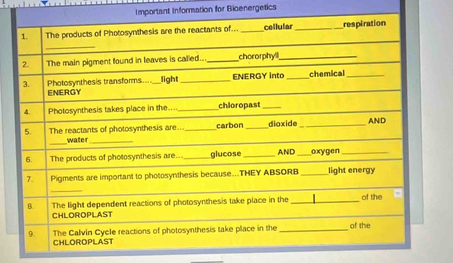 Important Information for Bioenergetics