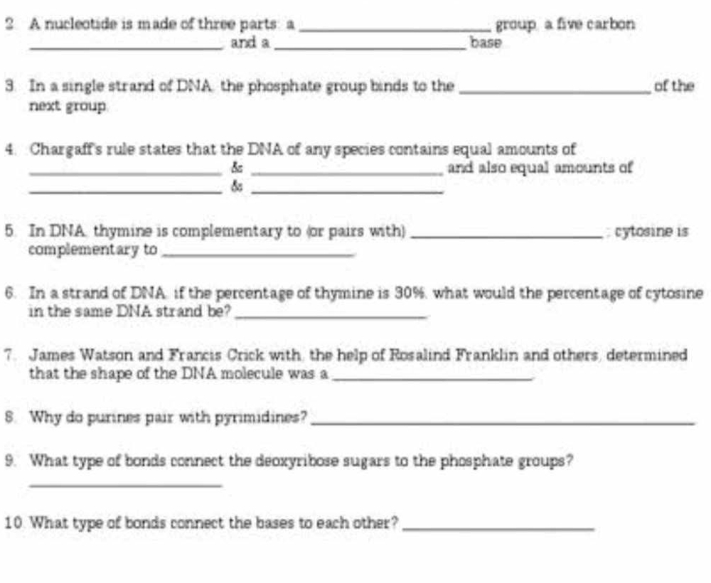 A nucleotide is made of three parts a _group a five carbon 
_and a _base 
3. In a single strand of DNA, the phosphate group binds to the _of the 
next group 
4. Chargaff's rule states that the DNA of any species contains equal amounts of 
_& _and also equal amounts of 
__& 
5. In DNA. thymine is complementary to (or pairs with) _: cytosine is 
complementary to_ 
6. In a strand of DNA, if the percentage of thymine is 30%, what would the percentage of cytosine 
in the same DNA strand be?_ 
7. James Watson and Francis Crick with, the help of Rosalind Franklin and others, determined 
that the shape of the DNA molecule was a_ 
8. Why do purines pair with pyrimidines?_ 
9. What type of bonds connect the deoxyribose sugars to the phosphate groups? 
_ 
10. What type of bonds connect the bases to each other?_