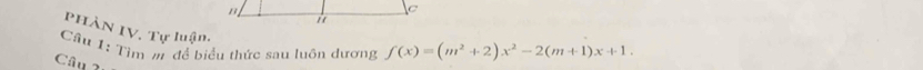 PhàN IV, Tự luận. 
Cầâu 1: Tìm m để biểu thức sau luôn đương f(x)=(m^2+2)x^2-2(m+1)x+1. 
Câu 1