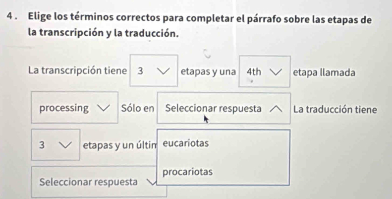 4 . Elige los términos correctos para completar el párrafo sobre las etapas de 
la transcripción y la traducción. 
La transcripción tiene 3 etapas y una 4th etapa llamada 
processing Sólo en Seleccionar respuesta La traducción tiene
3 etapas y un últim eucariotas 
procariotas 
Seleccionar respuesta