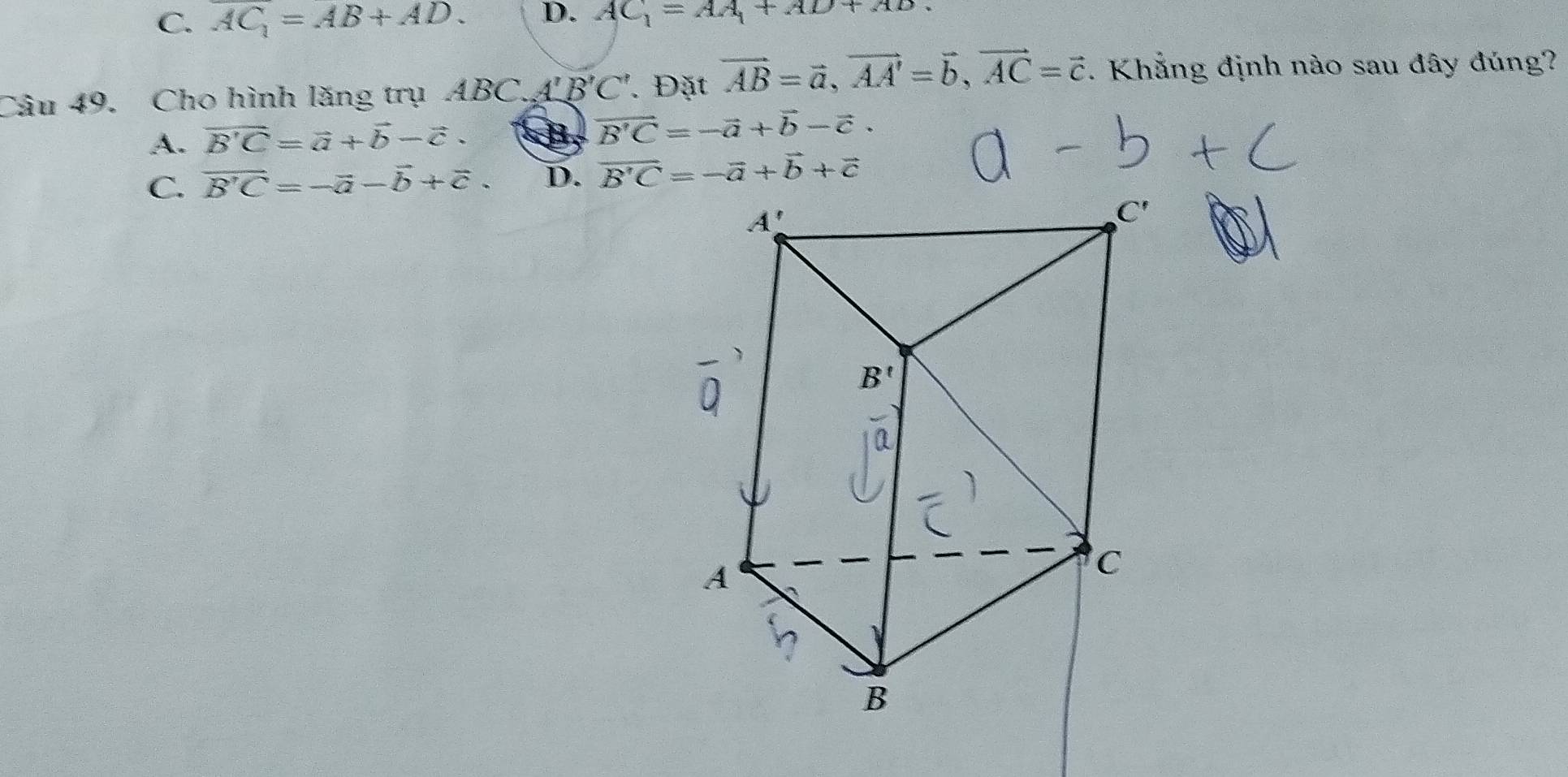 C. overline AC_1=AB+AD. D. AC_1=AA_1+AD+AD
Câu 49. Cho hình lăng trụ ABC. A'B'C'. Đặt vector AB=vector a,vector AA'=vector b,vector AC=vector c. Khẳng định nào sau đây đúng?
A. vector B'C=vector a+vector b-vector c. B vector B'C=-vector a+vector b-vector c.
C. overline B'C=-overline a-overline b+vector c. D. vector B'C=-vector a+vector b+vector c