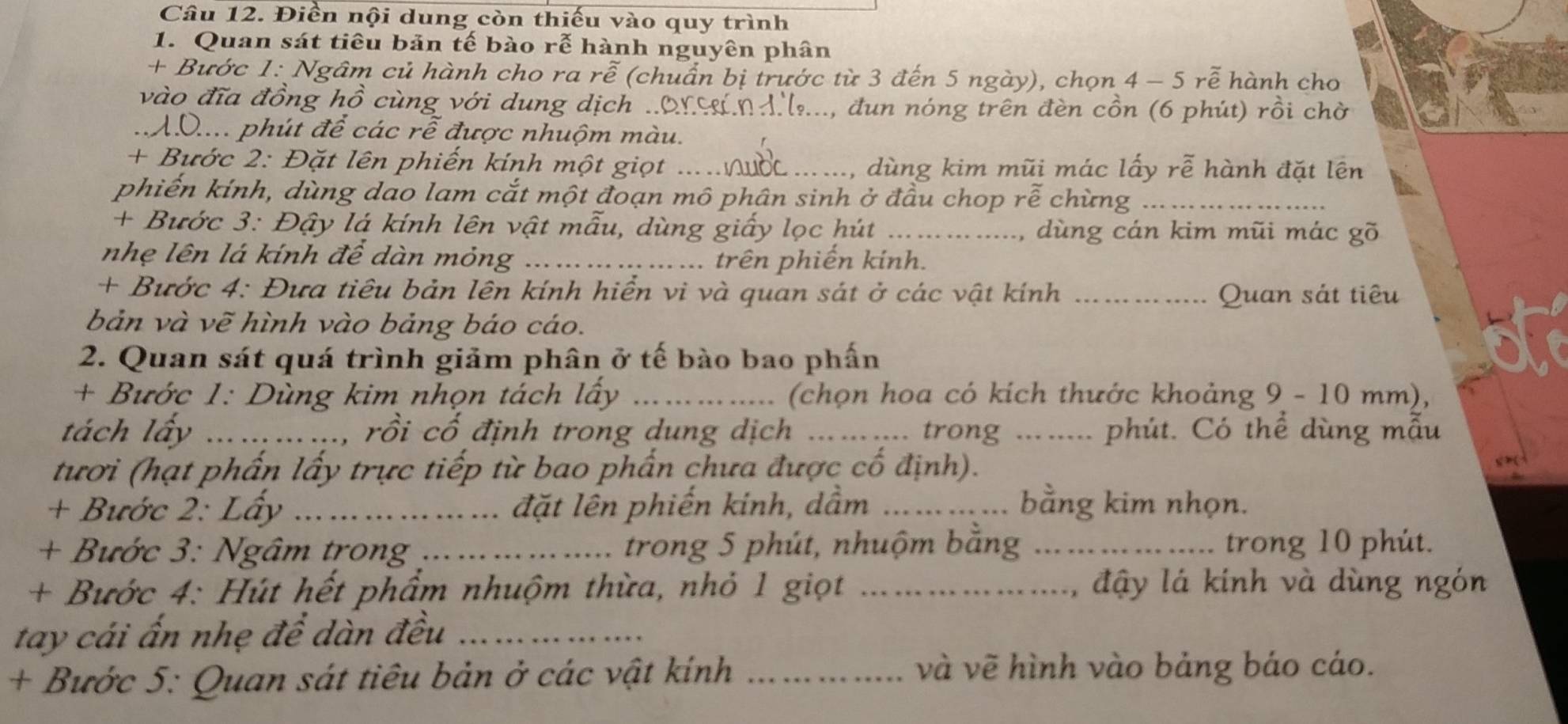 Điền nội dung còn thiếu vào quy trình
1. Quan sát tiêu bản tế bào rễ hành nguyên phân
+ Bước 1: Ngâm củ hành cho ra rễ (chuẩn bị trước từ 3 đến 5 ngày), chọn 4 - 5 rễ hành cho
vào đĩa đồng hồ cùng với dung dịch .an en d l.. , đun nóng trên đèn cồn (6 phút) rồi chờ
.AD.... phút để các rễ được nhuộm màu.
+ Bước 2: Đặt lên phiến kính một giọt ... dùng kim mũi mác lấy rễ hành đặt lên
phiến kính, dùng dao lam cắt một đoạn mô phân sinh ở đầu chop roverline e chùng_
+ Bước 3: Đậy lá kính lên vật mẫu, dùng giấy lọc hút _dùng cán kim mũi mác gõ
nhẹ lên lá kính để dàn mỏng _trên phiến kính.
+ Bước 4: Đưa tiêu bản lên kính hiển vi và quan sát ở các vật kính _Quan sát tiêu
bản và vẽ hình vào bảng báo cáo.
2. Quan sát quá trình giảm phân ở tế bào bao phấn
+ Bước 1: Dùng kim nhọn tách lấy _ (chọn hoa có kích thước khoảng 9 - 10 mm),
tách lấy _rồi cố định trong dung dịch _trong _phút. Có thể dùng mẫu
tươi (hạt phấn lấy trực tiếp từ bao phần chưa được cố định).
+ Bước 2: Lấy _đặt lên phiến kính, dầm _bằng kim nhọn.
+ Bước 3: Ngâm trong _trong 5 phút, nhuộm bằng _trong 10 phút.
+ Bước 4: Hút hết phẩm nhuộm thừa, nhỏ 1 giọt _đậy lá kinh và dùng ngón
tay cái ấn nhẹ đề dàn đều_
+ Bước 5: Quan sát tiêu bản ở các vật kính _và vẽ hình vào bảng báo cáo.