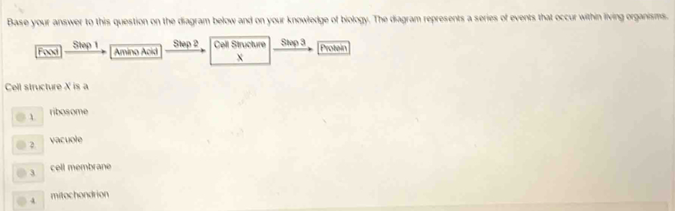 Base your answer to this question on the diagram below and on your knowledge of biology. The diagram represents a series of events that occur within living organisms.
Food Step 1
Amino Acid Step 2 Cell Structure Stap 3
Protein
x
Cell structure X is a
1 ribosome
2 vacuole
3 cell membrane
mitochondrion