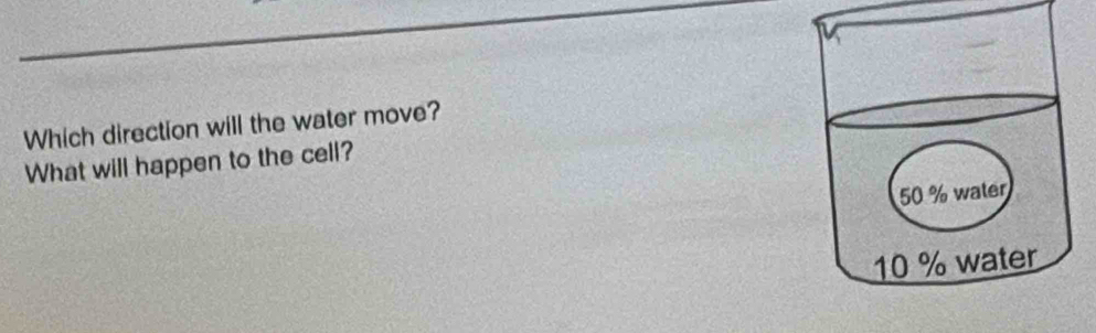 Which direction will the water move? 
What will happen to the cell?