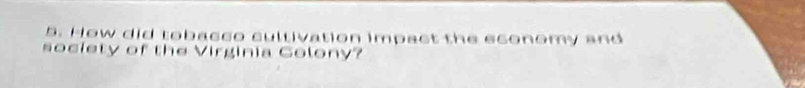 How did tobacco cultivation impact the economy and 
society of the Virginia Golony?