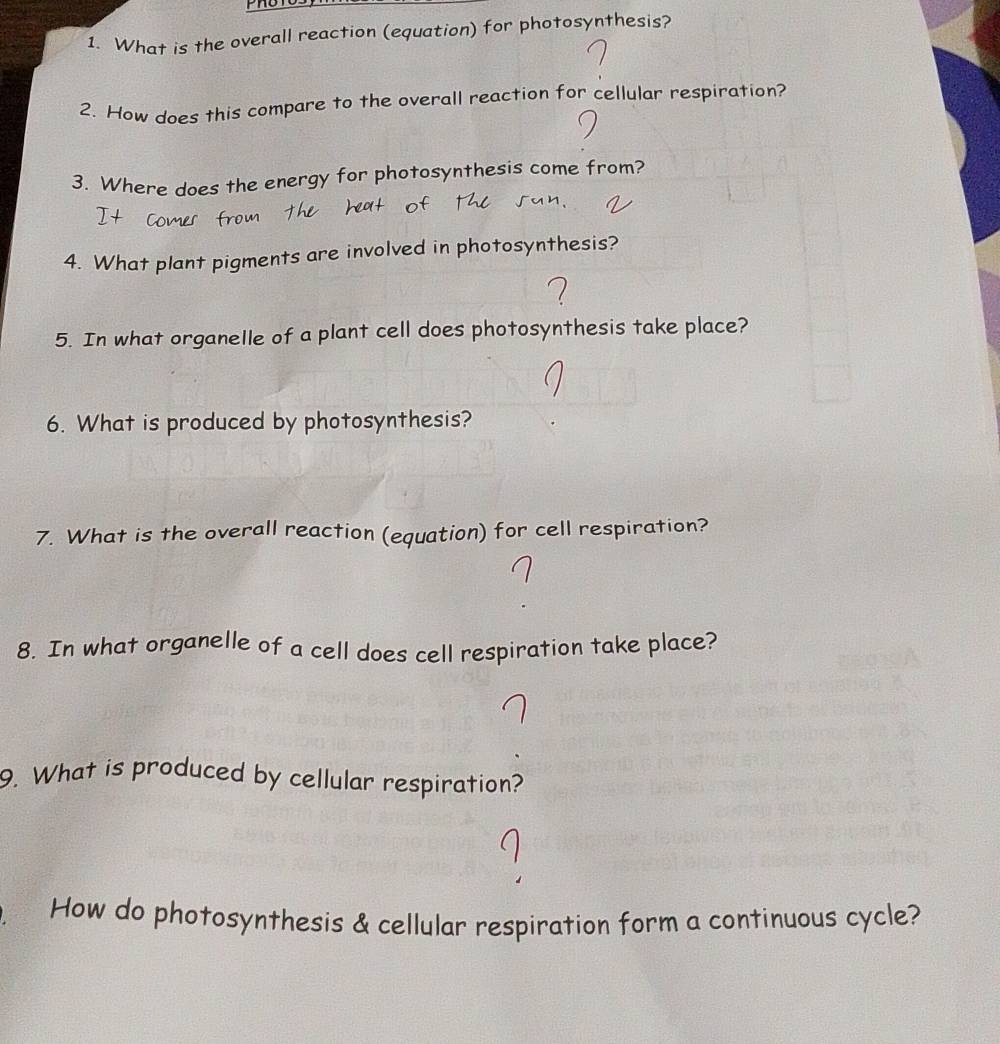 What is the overall reaction (equation) for photosynthesis? 
2. How does this compare to the overall reaction for cellular respiration? 
3. Where does the energy for photosynthesis come from? 
4. What plant pigments are involved in photosynthesis? 
5. In what organelle of a plant cell does photosynthesis take place? 
6. What is produced by photosynthesis? 
7. What is the overall reaction (equation) for cell respiration? 
8. In what organelle of a cell does cell respiration take place? 
9. What is produced by cellular respiration? 
How do photosynthesis & cellular respiration form a continuous cycle?