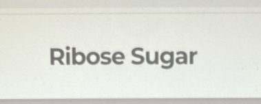 Ribose Sugar