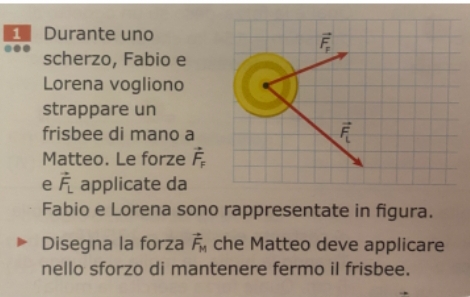 Durante uno
vector F_p
scherzo, Fabio e 
Lorena vogliono 
strappare un 
frisbee di mano a
vector F_L
Matteo. Le forze vector F_F
e vector F_L applicate da 
Fabio e Lorena sono rappresentate in figura. 
Disegna la forza vector F_M che Matteo deve applicare 
nello sforzo di mantenere fermo il frisbee.