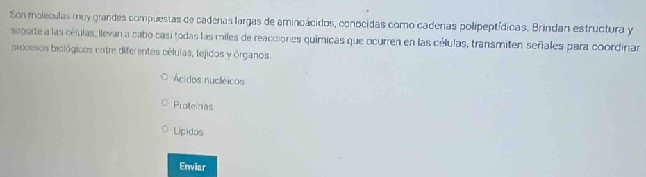 Son moléculas muy grandes compuestas de cadenas largas de aminoácidos, conocidas como cadenas polipeptídicas. Brindan estructura y
soporte a las células, llevan a cabo casi todas las miles de reacciones químicas que ocurren en las células, transmiten señales para coordinar
procesos biológicos entre diferentes células, tejidos y órganos,
Ácidos nucléicos
Proteínas
Lípidos
Enviar