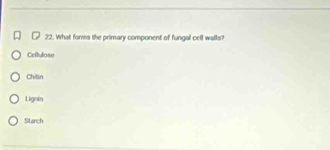 What forms the primary component of fungal cell walls?
Cellulose
Chitin
Lignin
Starch