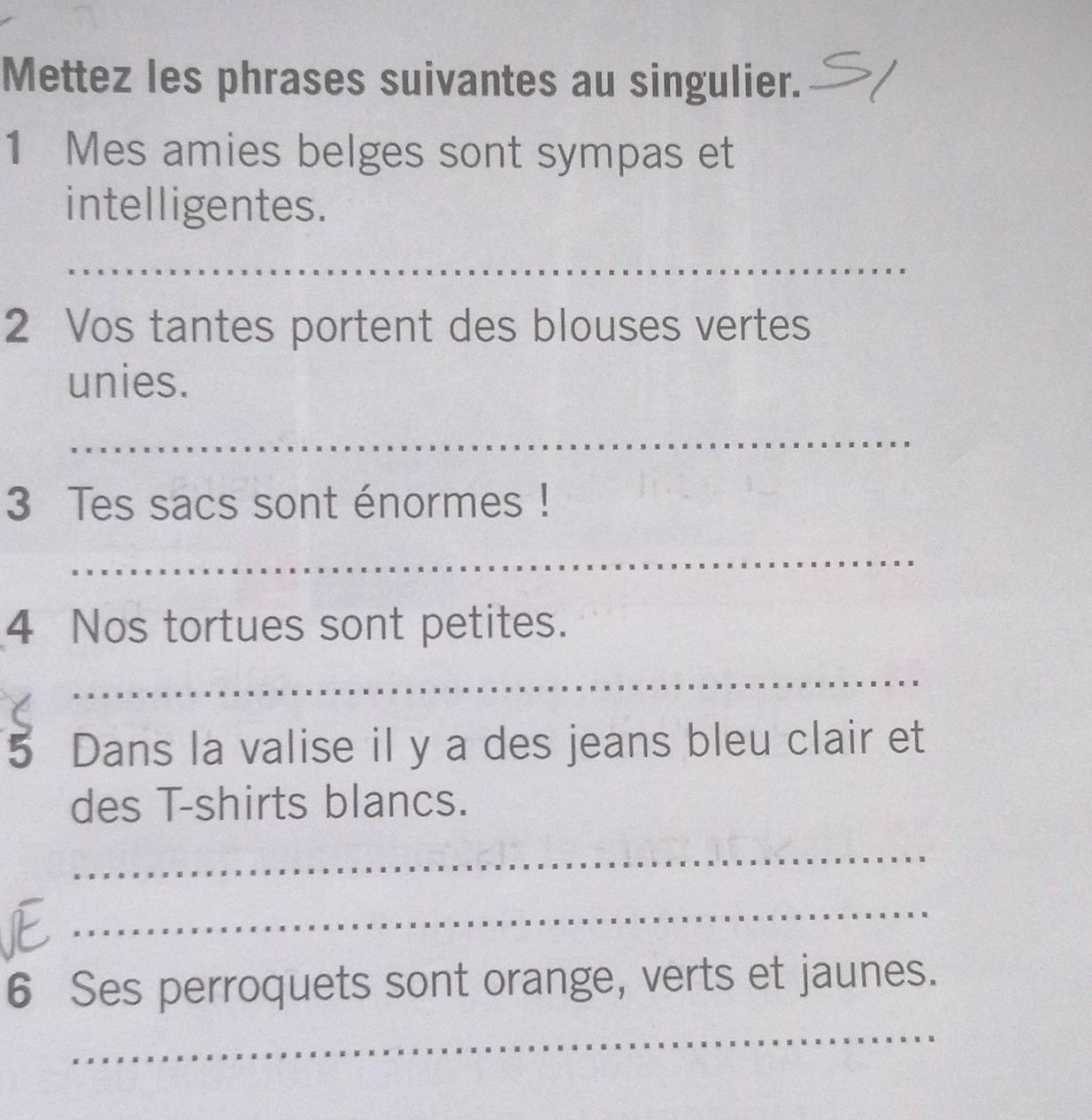 Mettez les phrases suivantes au singulier. 
1 Mes amies belges sont sympas et 
intelligentes. 
_ 
2 Vos tantes portent des blouses vertes 
unies. 
_ 
3 Tes sacs sont énormes ! 
_ 
4 Nos tortues sont petites. 
_ 
5 Dans la valise il y a des jeans bleu clair et 
des T-shirts blancs. 
_ 
_ 
_ 
6 Ses perroquets sont orange, verts et jaunes.