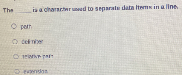 The _is a character used to separate data items in a line.
path
delimiter
relative path
extension