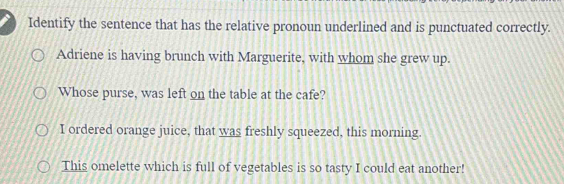 Solved: Identify the sentence that has the relative pronoun underlined ...