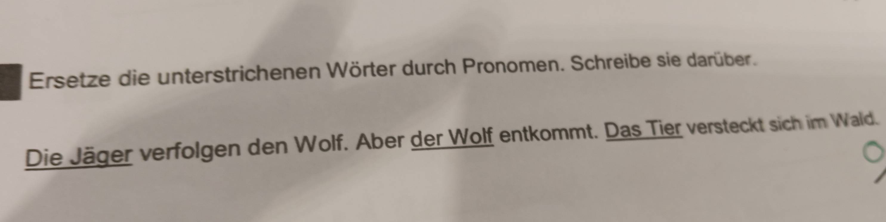 Ersetze die unterstrichenen Wörter durch Pronomen. Schreibe sie darüber. 
Die Jäger verfolgen den Wolf. Aber der Wolf entkommt. Das Tier versteckt sich im Wald.