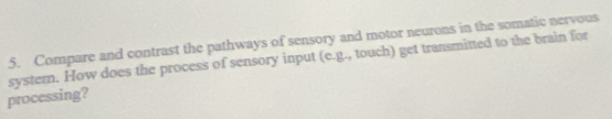 Compare and contrast the pathways of sensory and motor neurons in the somatic nervous 
processing? systern. How does the process of sensory input (e.g., touch) get transmitted to the brain for