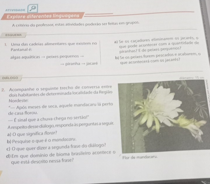 ATIVIDADE
Explore diferentes linguagens
A critério do professor, estas atividades poderão ser feitas em grupos.
ESQUEMA
1. Uma das cadeias alimentares que existem no a) Se os caçadores eliminarem os jacarés, o
que pode acontecer com a quantidade de
Pantanal é:
piranhas? E de peixes pequenos?
algas aquáticas → peixes pequenos
b) Se os peixes forem pescados e acabarem, o
→ piranha jacaré que acontecerá com os jacarés?
DIÁlOGo 
2. Acompanhe o seguinte trecho de conversa entre
7
dois habitantes de determinada localidade da Região
Nordeste:
“— Após meses de seca, aquele mandacaru lá perto
de casa florou.
— É sinal que a chuva chega no sertão!"
A respeito desse diálogo, responda às perguntas a seguir
a) O que significa florar?
b) Pesquise o que é o mandacaru.
c) O que quer dizer a segunda frase do diálogo?
d) Em que domínio de bioma brasileiro acontece 
que está descrito nessa frase? Flor de mandacaru.