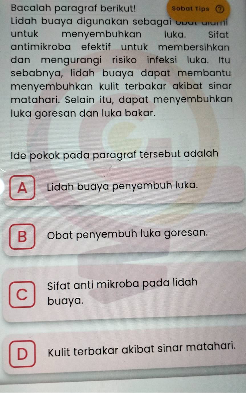 Bacalah paragraf berikut! Sobat Tips 0
Lidah buaya digunakan sebagai obal alami
untuk menyembuhkan € luka. Sifat
antimikroba efektif untuk membersihkan
dan mengurangi risiko infeksi luka. Itu
sebabnya, lidah buaya dapat membantu
menyembuhkan kulit terbakar akibat sinar .
matahari. Selain itu, dapat menyembuhkan
luka goresan dan luka bakar.
Ide pokok pada paragraf tersebut adalah
A Lidah buaya penyembuh luka.
B Obat penyembuh luka goresan.
Sifat anti mikroba pada lidah
C buaya.
D Kulit terbakar akibat sinar matahari.