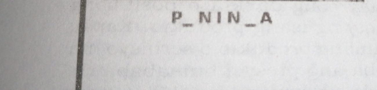 P_ NIN __ A