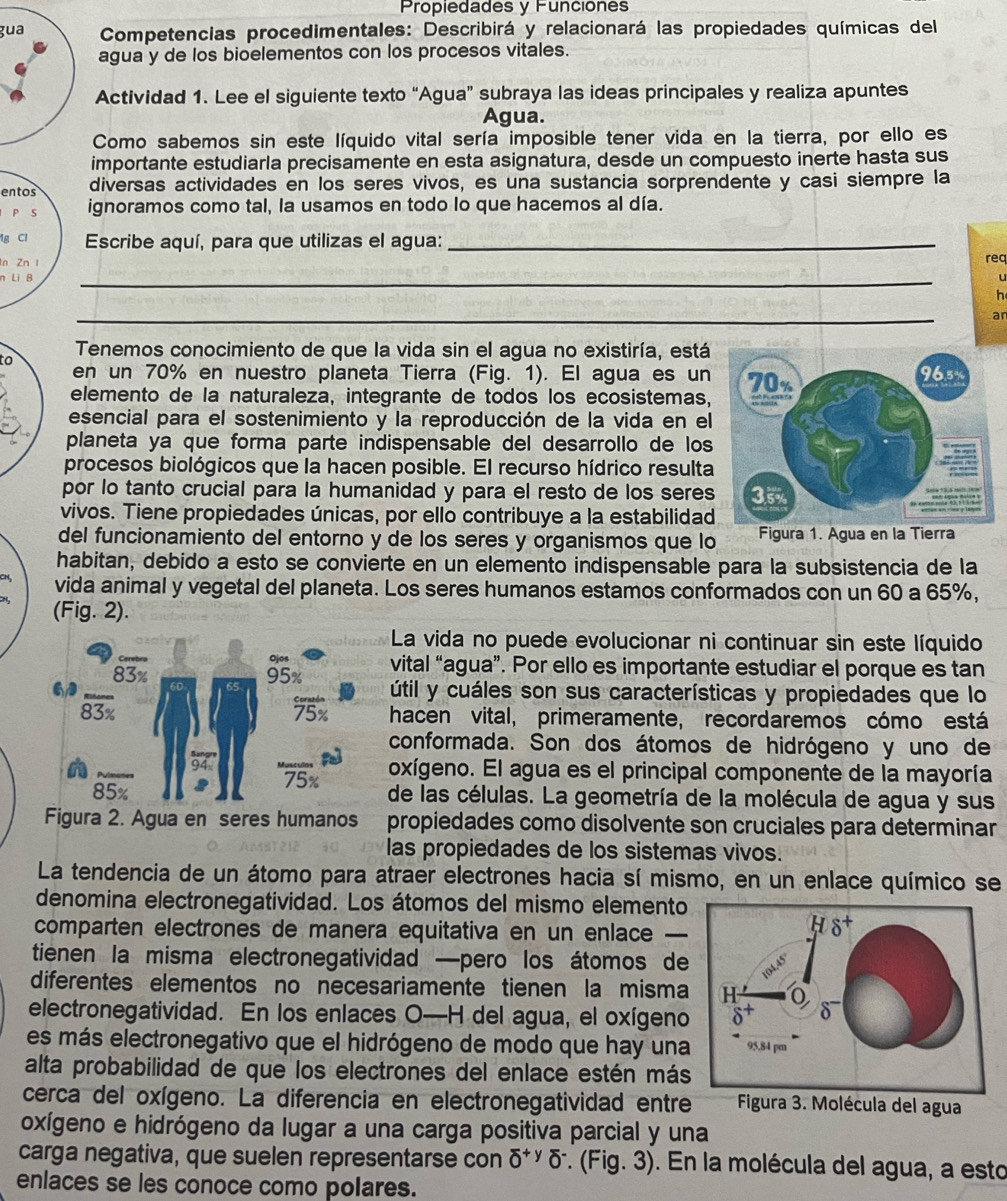 Propiedades y Funciones
gua  Competencias procedimentales: Describirá y relacionará las propiedades químicas del
agua y de los bioelementos con los procesos vitales.
Actividad 1. Lee el siguiente texto “Agua” subraya las ideas principales y realiza apuntes
Agua.
Como sabemos sin este líquido vital sería imposible tener vida en la tierra, por ello es
importante estudiarla precisamente en esta asignatura, desde un compuesto inerte hasta sus
entos diversas actividades en los seres vivos, es una sustancia sorprendente y casi siempre la
P S ignoramos como tal, la usamos en todo lo que hacemos al día.
1g Cl Escribe aquí, para que utilizas el agua:_
_
In Zn l req
n Li B
u
h
_
an
to Tenemos conocimiento de que la vida sin el agua no existiría, está
en un 70% en nuestro planeta Tierra (Fig. 1). El agua es un
elemento de la naturaleza, integrante de todos los ecosistemas,
esencial para el sostenimiento y la reproducción de la vida en el
planeta ya que forma parte indispensable del desarrollo de los
procesos biológicos que la hacen posible. El recurso hídrico resulta
por lo tanto crucial para la humanidad y para el resto de los seres
vivos. Tiene propiedades únicas, por ello contribuye a la estabilidad
del funcionamiento del entorno y de los seres y organismos que lo  Figura 1. Agua en la Tierra
habitan, debido a esto se convierte en un elemento indispensable para la subsistencia de la
vida animal y vegetal del planeta. Los seres humanos estamos conformados con un 60 a 65%,
(Fig. 2).
La vida no puede evolucionar ni continuar sin este líquido
Ojos
83% 95% vital “agua”. Por ello es importante estudiar el porque es tan
6 útil y cuáles son sus características y propiedades que lo
75%
83° hacen vital, primeramente, recordaremos cómo está
conformada. Son dos átomos de hidrógeno y uno de
ulas
75% oxígeno. El agua es el principal componente de la mayoría
85% de las células. La geometría de la molécula de agua y sus
Figura 2. Agua en seres humanos propiedades como disolvente son cruciales para determinar
las propiedades de los sistemas vivos.
La tendencia de un átomo para atraer electrones hacia sí mismo, en un enlace químico se
denomina electronegatividad. Los átomos del mismo elemento
comparten electrones de manera equitativa en un enlace 
tienen la misma electronegatividad —pero los átomos de
diferentes elementos no necesariamente tienen la misma
electronegatividad. En los enlaces O—H del agua, el oxígeno
es más electronegativo que el hidrógeno de modo que hay una
alta probabilidad de que los electrones del enlace estén más
cerca del oxígeno. La diferencia en electronegatividad entre Molécula del agua
oxígeno e hidrógeno da lugar a una carga positiva parcial y una
carga negativa, que suelen representarse con a δ × δ. (Fig. 3). En la molécula del agua, a esto
enlaces se les conoce como polares.