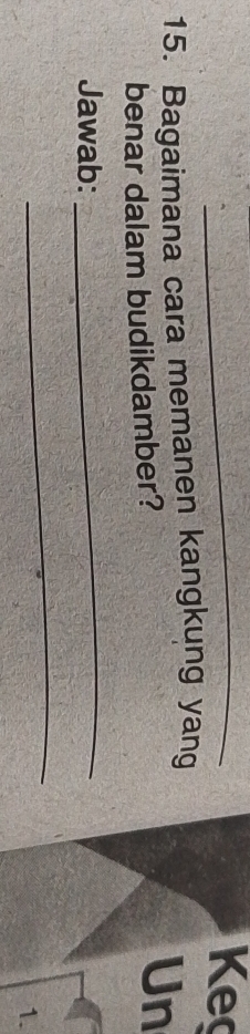 Keç 
15. Bagaimana cara memanen kangkung yang 
benar dalam budikdamber? 
Un 
Jawab: 
_ 
_ 
1.