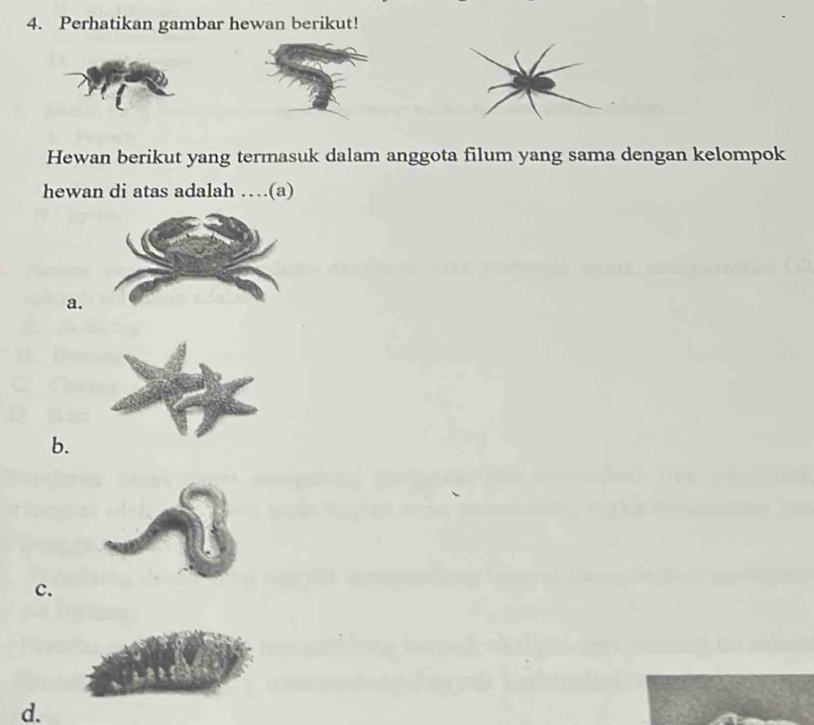 Perhatikan gambar hewan berikut! 
Hewan berikut yang termasuk dalam anggota filum yang sama dengan kelompok 
hewan di atas adalah …(a) 
a. 
b. 
c. 
d.