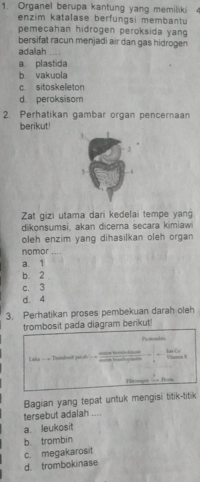 Organel berupa kantung yang memiliki
enzim katalase berfungsi membantu
pemecahan hidrogen peroksida yang
bersifat racun menjadi air dan gas hidrogen
adalah …..
a. plastida
b. vakuola
c. sitoskeleton
d. peroksisom
2. Perhatikan gambar organ pencernaan
berikut!
Zat gizi utama dari kedelai tempe yang
dikonsumsi, akan dicerna secara kimiawi
oleh enzim yang dihasilkan oleh organ
nomor ....
a. 1
b. 2
c. 3
d. 4
3. Perhatikan proses pembekuan darah oleh
pada diagram berikut!
Bagian yang tepat untuk mengisi titik-titik
tersebut adalah ....
a. leukosit
b. trombin
c. megakarosit
d. trombokinase