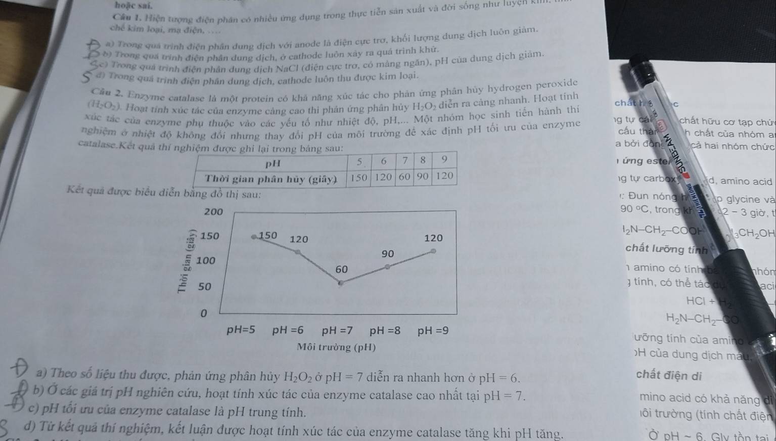 hoặc saí.
Câu 1. Hiện tượng điện phân có nhiều ứng dụng trong thực tiễn sản xuất và đời sống như luyện κ
chế kim loại, mạ điện,
a) Trong quá trình điện phân dung dịch với anode là điện cực trơ, khối lượng dung dịch luôn giảm.
( () Trong quá trình điện phần dung dịch, ở cathode luôn xây ra quả trình khử.
c) Trong quá trình điện phân dụng dịch NaCl (điện cực trơ, có màng ngăn), pH của dung dịch giảm.
đ) Trong quả trịnh điện phần dung dịch, cathode luôn thu được kim loại.
Cầu 2. Enzyme catalase là một protein có khả năng xúc tác cho phản ứng phân hùy hydrogen peroxide
(H_2O_2) 3. Hoạt tỉnh xúc tác của enzyme cảng cao thi phản ứng phân hủy H_2O diễn ra cảng nhanh. Hoạt tính
chat h $ C
xúc tác của enzyme phụ thuộc vào các yếu tố như nhiệt độ, pH,... Một nhóm học sinh tiến hành thi
nghiệm ở nhiệt độ không đổi nhưng thay đổi pH của môi trường đề xác định pH tối ưu của enzyme ng tự cáp A
chất hữu cơ tạp chứ
cầu thàn h chất của nhóm a
catalase.Kết quảa bởi đồn  cả hai nhóm chức
ứng ester
g tự carbox d, amino acid
Kết quả được biểu p glycine và
Đun nóng hể
90°C
200 , trong kh a 2-3 giờ, t
I_2N-CH_2-COOH _3CH_2OH
150 150 120 120 chất lưỡng tính
90
100
60  amino có tính ba nhóm
g tính, có thể tác dự
50 aci
HCI+H_2
0
H_2N-CH_2- CO
pH=5 pH=6 pH=7 pH=8 pH=9 ưỡng tính của amino
Môi trường ( pH )
H của dung dịch máu,
a) Theo số liệu thu được, phản ứng phân hủy H_2O_2 Ở pH=7 diễn ra nhanh hơn ở pH=6.
chất điện di
b) Ở các giá trị pH nghiên cứu, hoạt tính xúc tác của enzyme catalase cao nhất tại pH=7.
mino acid có khả năng di
c) pH tối ưu của enzyme catalase là pH trung tính.
tôi trường (tính chất điện
d) Từ kết quả thí nghiệm, kết luận được hoạt tính xúc tác của enzyme catalase tăng khi pH tăng. oHsim 6 Glv tồn tại
Ở