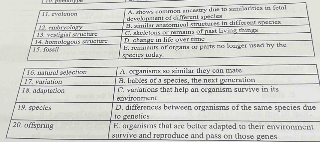 To. phenotype