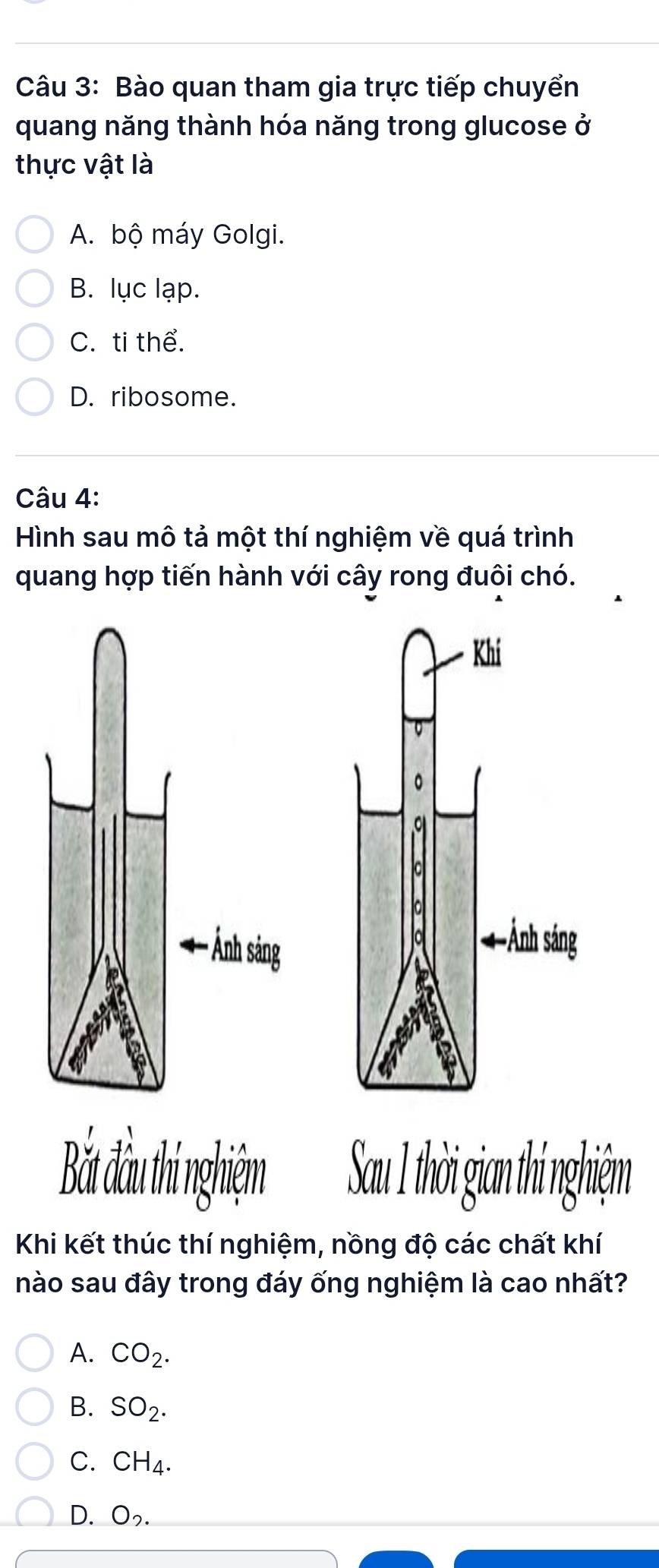 Bào quan tham gia trực tiếp chuyển
quang năng thành hóa năng trong glucose ở
thực vật là
A. bộ máy Golgi.
B. lục lạp.
C. ti thể.
D. ribosome.
Câu 4:
Hình sau mô tả một thí nghiệm về quá trình
quang hợp tiến hành với cây rong đuôi chó.
Bà ầu thi nghệm Sau 1 thời gian thí nghiệm
Khi kết thúc thí nghiệm, nồng độ các chất khí
nào sau đây trong đáy ống nghiệm là cao nhất?
A. CO_2.
B. SO_2.
C. CH_4.
D. O_2.