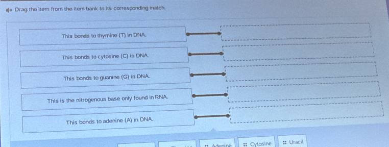 €« Drag the item from the item bank to its corresponding match.
This bonds to thymine (T) in DNA.
This bonds to cytosine (C) in DNA.
This bonds to guanine (G) in DNA.
This is the nitrogenous base only found in RNA.
This bonds to adenine (A) in DNA.
Adonine :: Cytosine # Uracil