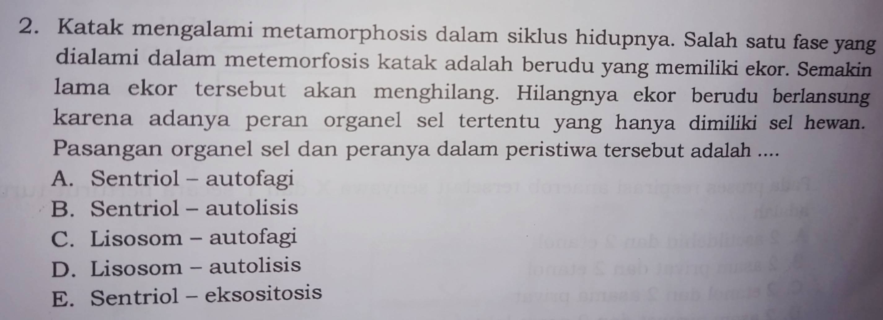 Katak mengalami metamorphosis dalam siklus hidupnya. Salah satu fase yang
dialami dalam metemorfosis katak adalah berudu yang memiliki ekor. Semakin
lama ekor tersebut akan menghilang. Hilangnya ekor berudu berlansung
karena adanya peran organel sel tertentu yang hanya dimiliki sel hewan.
Pasangan organel sel dan peranya dalam peristiwa tersebut adalah ....
A. Sentriol - autofagi
B. Sentriol - autolisis
C. Lisosom - autofagi
D. Lisosom - autolisis
E. Sentriol - eksositosis