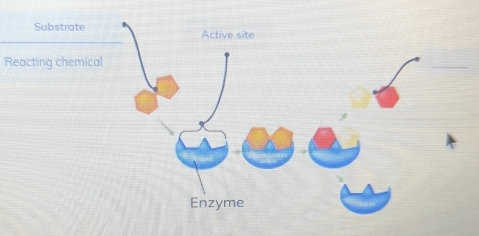 Reacting chemical