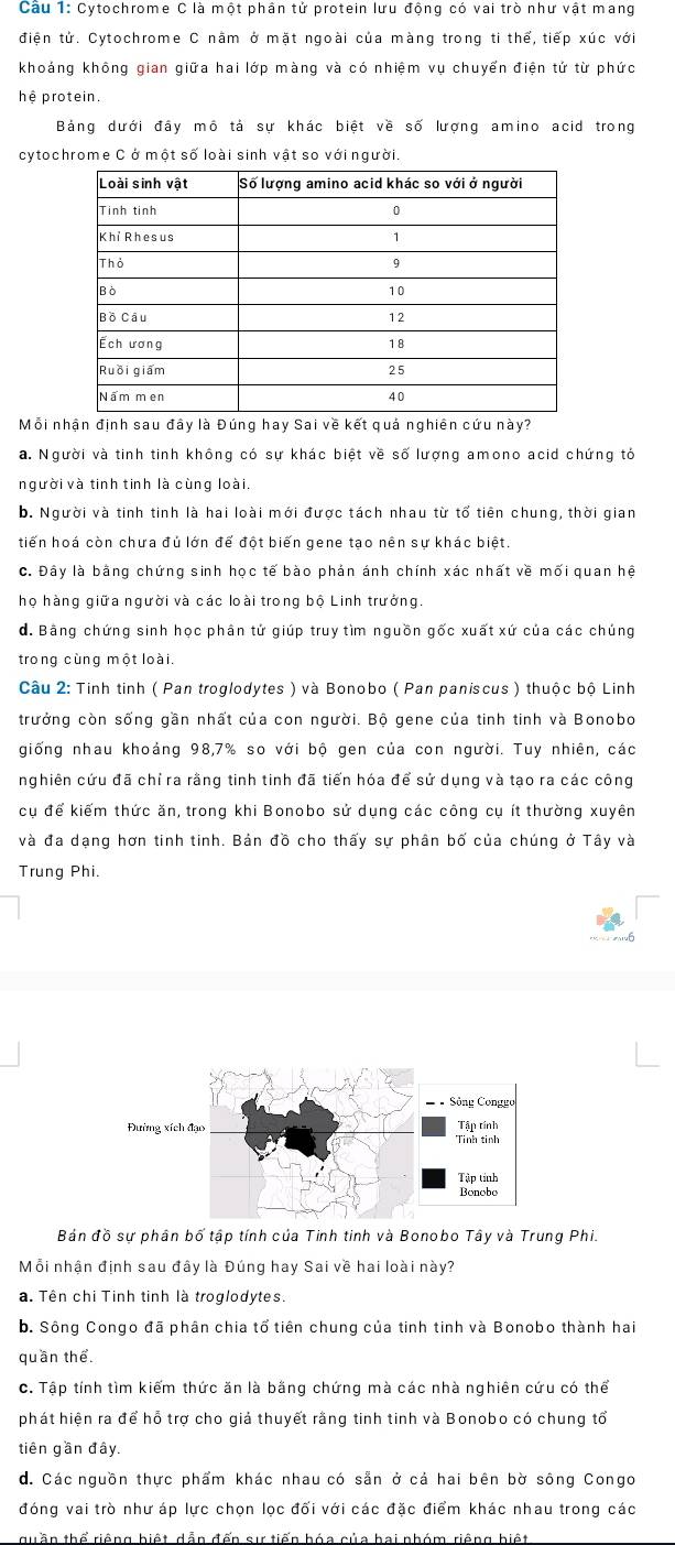 Cytochrome C là một phần tử protein lưu động có vai trò như vật mang
điện tử. Cytochrome C nằm ở mặt ngoài của màng trong ti thể, tiếp xúc với
khoáng không gian giữa hai lớp màng và có nhiệm vụ chuyển điện tử từ phức
hệ protein.
Bảng dưới đây mô tả sự khác biệt về số lượng amino acid trong
cytochrome C ở một số loài sinh vật so với người.
Mỗi nhận định sau đây là Đúng hay Sai về kết quả nghiên cứu này?
a. Người và tinh tinh không có sự khác biệt về số lượng amono acid chứng tó
người và tinh tinh là cùng loài.
b. Người và tinh tinh là hai loài mới được tách nhau từ tổ tiên chung, thời gian
tiến hoá còn chưa đủ lớn để đột biến gene tạo nên sự khác biệt.
c. Đây là bằng chứng sinh học tế bào phản ánh chính xác nhất về mối quan hệ
họ hàng giữa người và các loài trong bộ Linh trưởng.
d. Bằng chứng sinh học phân tử giúp truy tìm nguồn gốc xuất xứ của các chúng
trong cùng một loài.
Câu 2: Tinh tinh ( Pan troglodytes ) và Bonobo ( Pan paniscus ) thuộc bộ Linh
trưởng còn sống gần nhất của con người. Bộ gene của tinh tinh và Bonobo
giống nhau khoảng 98,7% so với bộ gen của con người. Tuy nhiên, các
nghiên cứu đã chỉ ra rằng tinh tinh đã tiến hóa để sử dụng và tạo ra các công
cụ để kiếm thức ăn, trong khi Bonobo sử dụng các công cụ ít thường xuyên
và đa dạng hơn tinh tinh. Bản đồ cho thấy sự phân bố của chúng ở Tây và
Trung Phi.
Bản đồ sự phân bố tập tính của Tinh tinh và Bonobo Tây và Trung Phi.
Mỗi nhận định sau đây là Đúng hay Sai về hai loài này?
a. Tên chi Tinh tinh là troglodytes.
b. Sông Congo đã phân chia tổ tiên chung của tinh tinh và Bonobo thành hai
quần thể.
c. Tập tính tìm kiếm thức ăn là bằng chứng mà các nhà nghiên cứu có thể
phát hiện ra để hỗ trợ cho giả thuyết rằng tinh tinh và Bonobo có chung tổ
tiên gần đây,
d. Các nguồn thực phẩm khác nhau có sẵn ở cá hai bên bờ sông Congo
đóng vai trò như áp lực chọn lọc đối với các đặc điểm khác nhau trong các
quần thể riệng biệt dẫn đến sự tiến hóa của hai nhóm riêng biệt