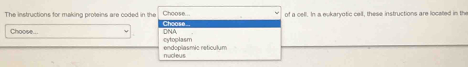 The instructions for making proteins are coded in the Choose... of a cell. In a eukaryotic cell, these instructions are located in the
Choose...
Choose... DNA
cytoplasm
endoplasmic reticulum
nucleus