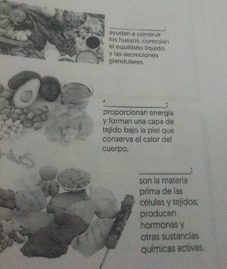 ayudan a construir 
los huesos, controlan 
el equilibrio líquido 
y las secreciones 
glandulares. 
_: 
proporcionan energía 
y forman una capa de 
tejido bajo la piel que 
conserva el calor del 
cuerpo. 
_: 
son la materia 
prima de las 
células y tejidos; 
producen 
hormonas y 
otras sustancias 
químicas activas.