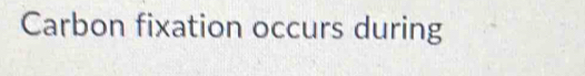 Carbon fixation occurs during