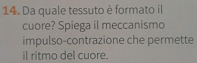 Da quale tessuto è formato il 
cuore? Spiega il meccanismo 
impulso-contrazione che permette 
il ritmo del cuore.