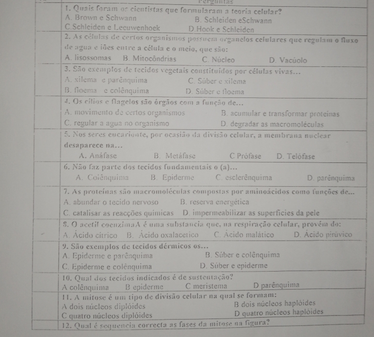 rerguntas 
1. Quais foram os cientistas que formularam a teoria celular? 
12. Qual é sequencia correcta as fases da mitose na figura?