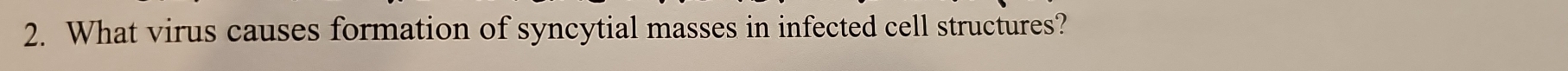 What virus causes formation of syncytial masses in infected cell structures?