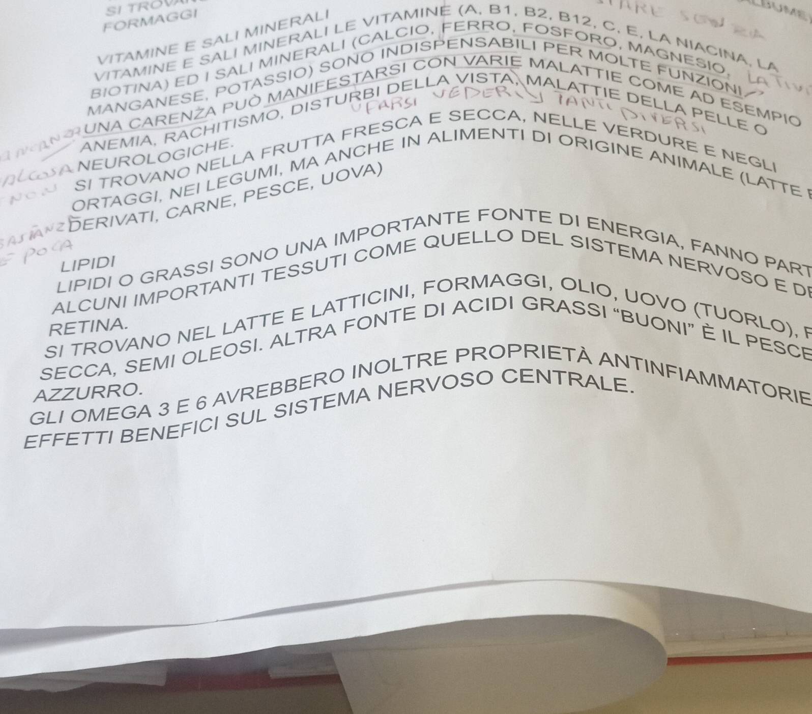 SITROVA 
FORMAGGI 
VITAMINE E SALI MINERALI 
VITAMINE E SALI MINERALI LE VITAMINE (A, B1, B2, B12, C, E, LA NIACINA, I 
BIOTINA) ED I SALI MINERALI (CALCIO, FERRO, FOSFORO, MAGNESIO, 
MANGANESE, POTASSIO) SONO INDISPENSABILI PER MOLTE FUNZIONI 
AUNA CARENŽA PUò MANIFESTARSI CON VARIE MALATTIE COME AD ESEMPIO 
ANEMIA, RACHITISMO, DISTURBI DELLA VISTA, MALATTIE DELLA PELLE O 
NEUROLOGICHE. 
SI TROVANO NELLA FRUTTA FRESCA E SECCA, NELLE VERDURE E NEGLI 
ORTAGGI, NEI LEGUMI, MA ANCHE IN ALIMENTI DI ORIGINE ANIMALE (LATTE 
DERIVATI, CARNE, PESCE, UOVA) 
LIPIDI 
LIPIDI O GRASSI SONO UNA IMPORTANTE FONTE DI ENERGIA, FANNO PART 
ALCUNI IMPORTANTI TESSUTI COME QUELLO DEL SISTEMA NERVOSO E D 
RETINA. 
SI TROVANO NEL LATTE E LATTICINI, FORMAGGI, OLIO, UOVO (TUORLO), F 
SECCA, SEMI OLEOSI. ALTRA FONTE DI ACIDI GRASSI “BUONI” È IL PESCE 
AZZURRO. 
GLI OMEGA 3 E 6 AVREBBERO INOLTRE PROPRIETA ANTINFIAMMATORIE 
EFFETTI BENEFICI SUL SISTEMA NERVOSO CENTRALE.