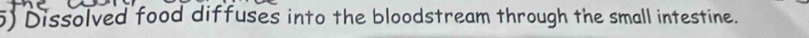 Dissolved food diffuses into the bloodstream through the small intestine.