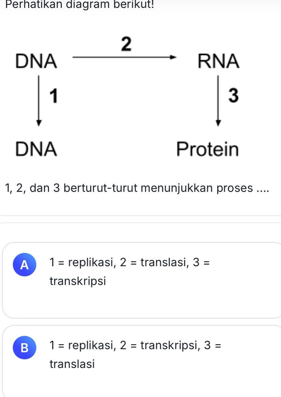 Perhatikan diagram berikut!
1, 2, dan 3 berturut-turut menunjukkan proses ....
A 1= replikasi, 2= translasi, 3=
transkripsi
B 1= replikasi, 2= transkripsi, 3=
translasi