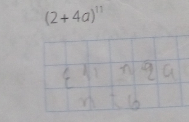 (2+4a)^11