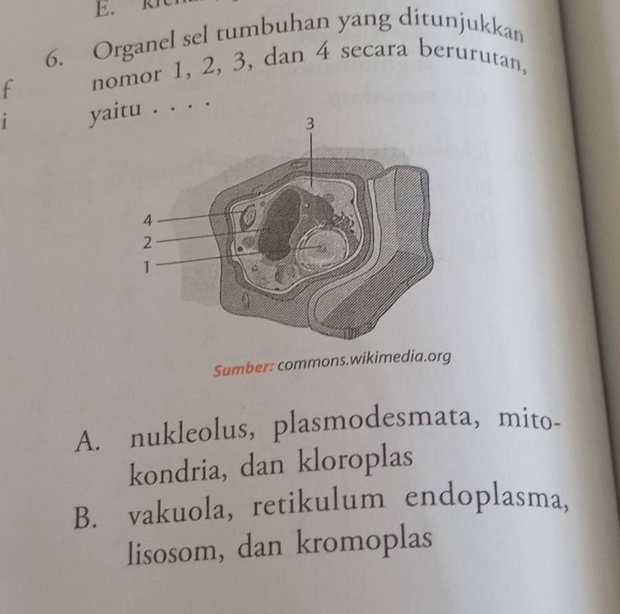 RI
6. Organel sel tumbuhan yang ditunjukkan
f
nomor 1, 2, 3, dan 4 secara berurutan,
1
ya. . . .
Sumber: commons.wikimedia.org
A. nukleolus, plasmodesmata, mito-
kondria, dan kloroplas
B. vakuola, retikulum endoplasma,
lisosom, dan kromoplas